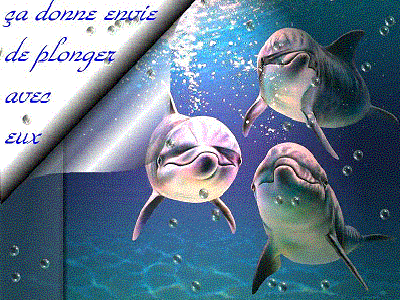 dauphins